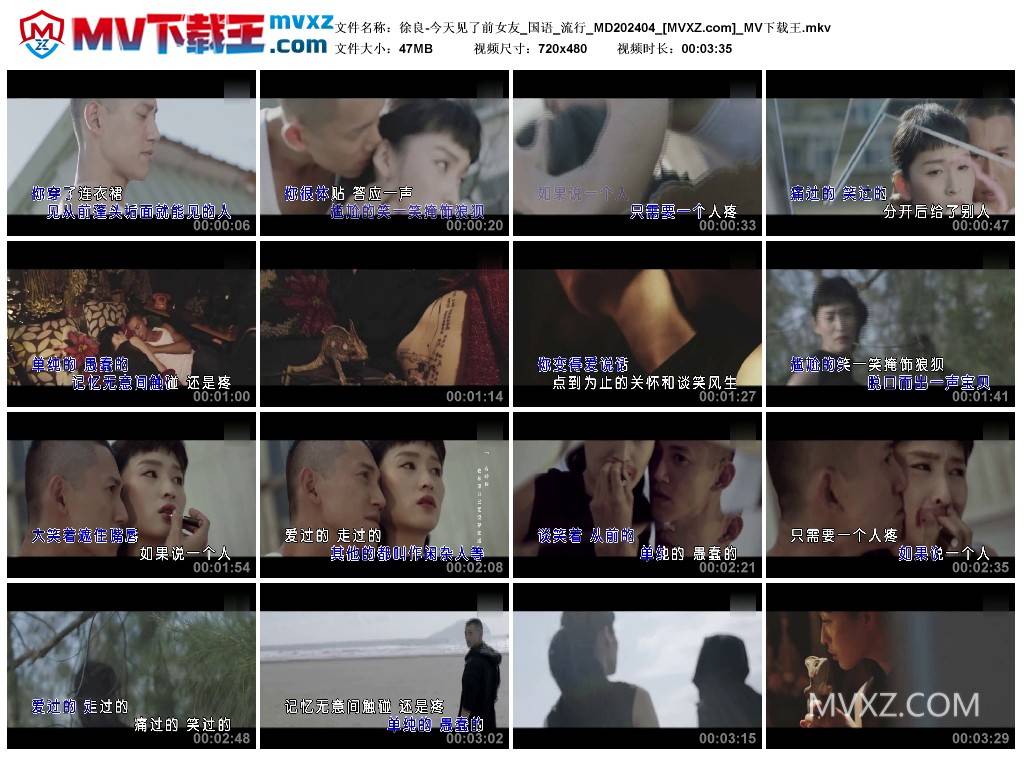 徐良-今天见了前女友_国语_流行_MD202404